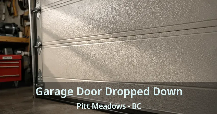 Garage Door Dropped Down Pitt Meadows - BC
