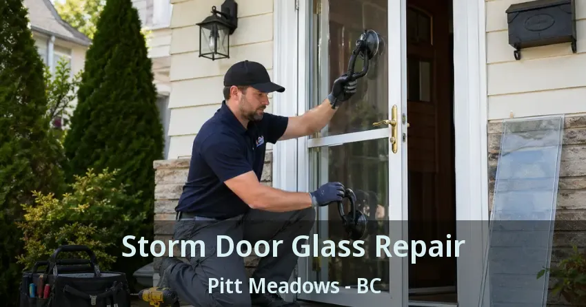 Storm Door Glass Repair Pitt Meadows - BC Storm Door Glass Repair Pitt Meadows - BC